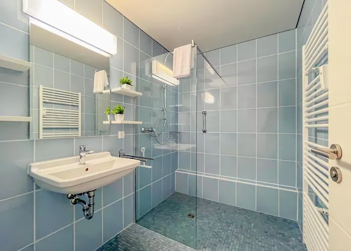 Rosenberg-Suites - Zentral, Stellplatz, Grosse Terasse, Business & Privat